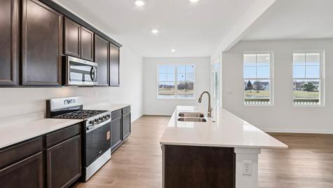 14907 South Parkview Drive Plainfield IL 60544