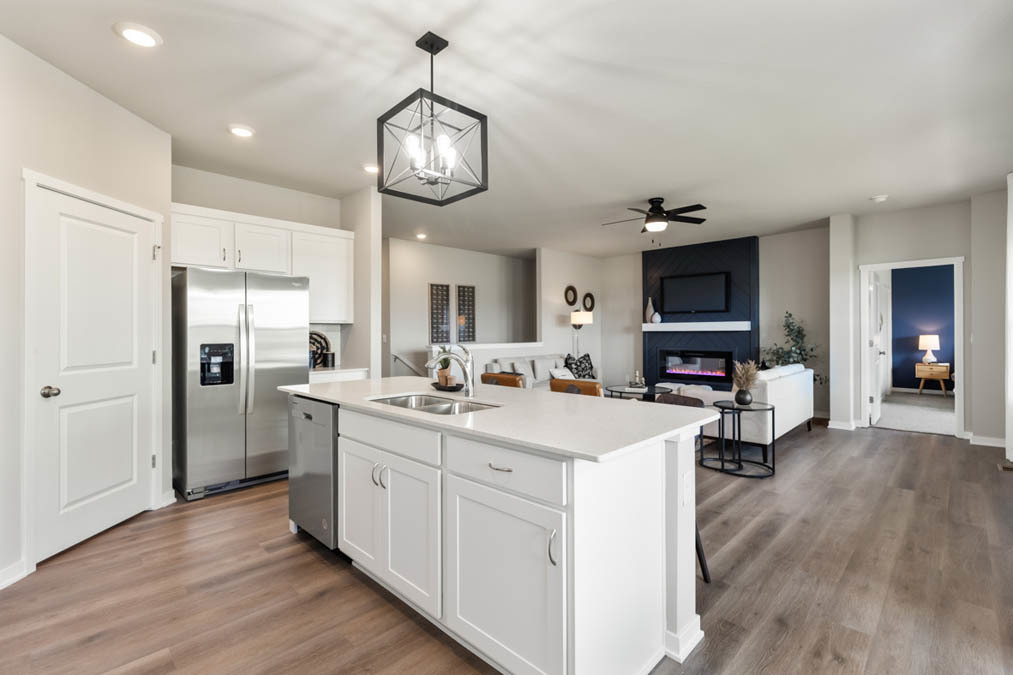 14907 South Parkview Drive Plainfield IL 60544