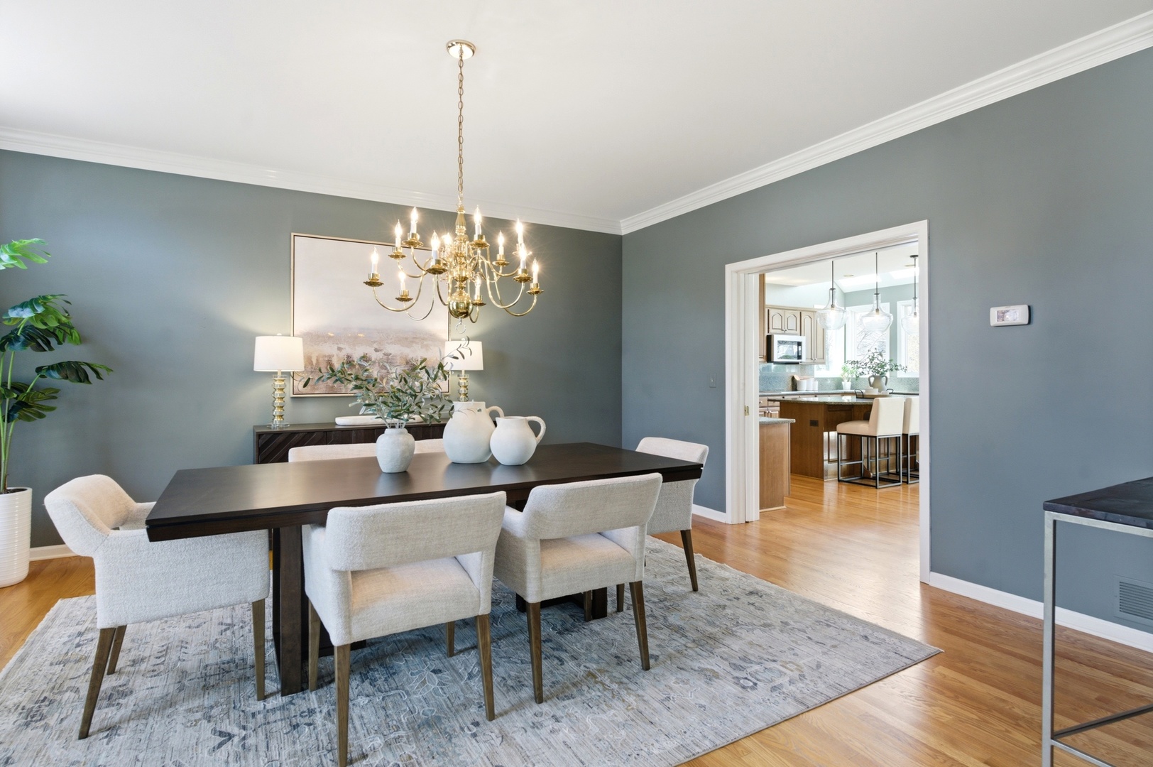 4029 Broadmoor Circle Naperville IL 60564