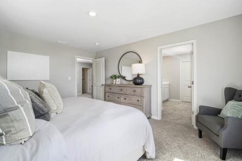 1251 Tiger Lily Drive Bartlett IL 60103