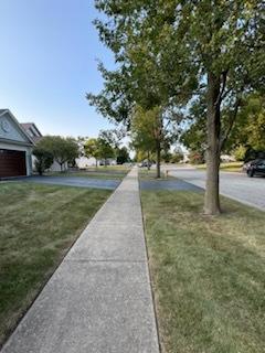 10 Lilac Court Bolingbrook IL 60490