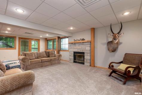 1165 Lake Shore Dr N Drive Goreville IL 62939