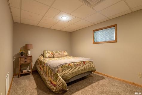 1165 Lake Shore Dr N Drive Goreville IL 62939
