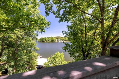 1165 Lake Shore Dr N Drive Goreville IL 62939