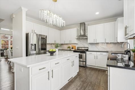 1230 West Claridge Court Palatine IL 60067