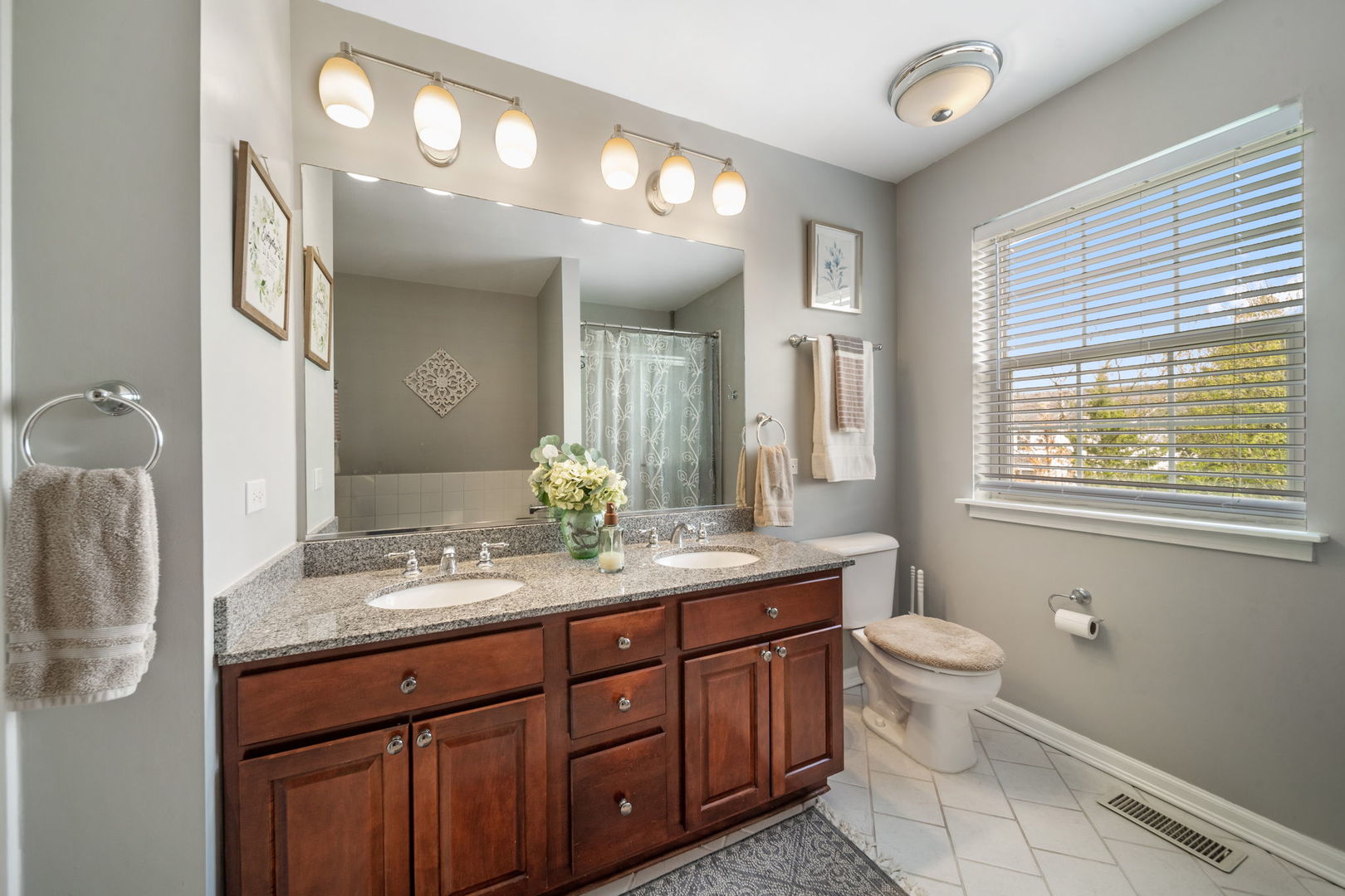 12963 Cathy Lane Plainfield IL 60585