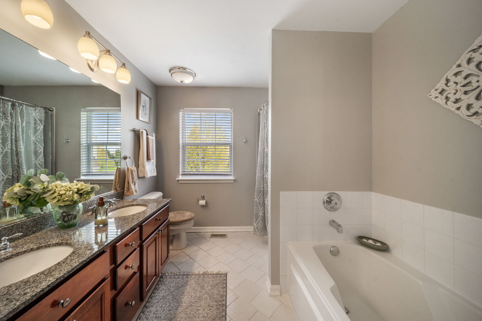 12963 Cathy Lane Plainfield IL 60585