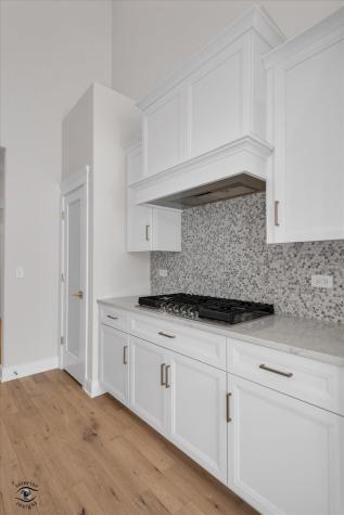 8858 Buffington Breakwater Drive Frankfort IL 60423