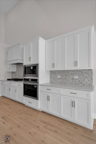 8858 Buffington Breakwater Drive Frankfort IL 60423
