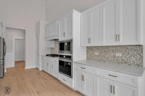 8858 Buffington Breakwater Drive Frankfort IL 60423