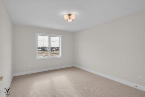 8858 Buffington Breakwater Drive Frankfort IL 60423