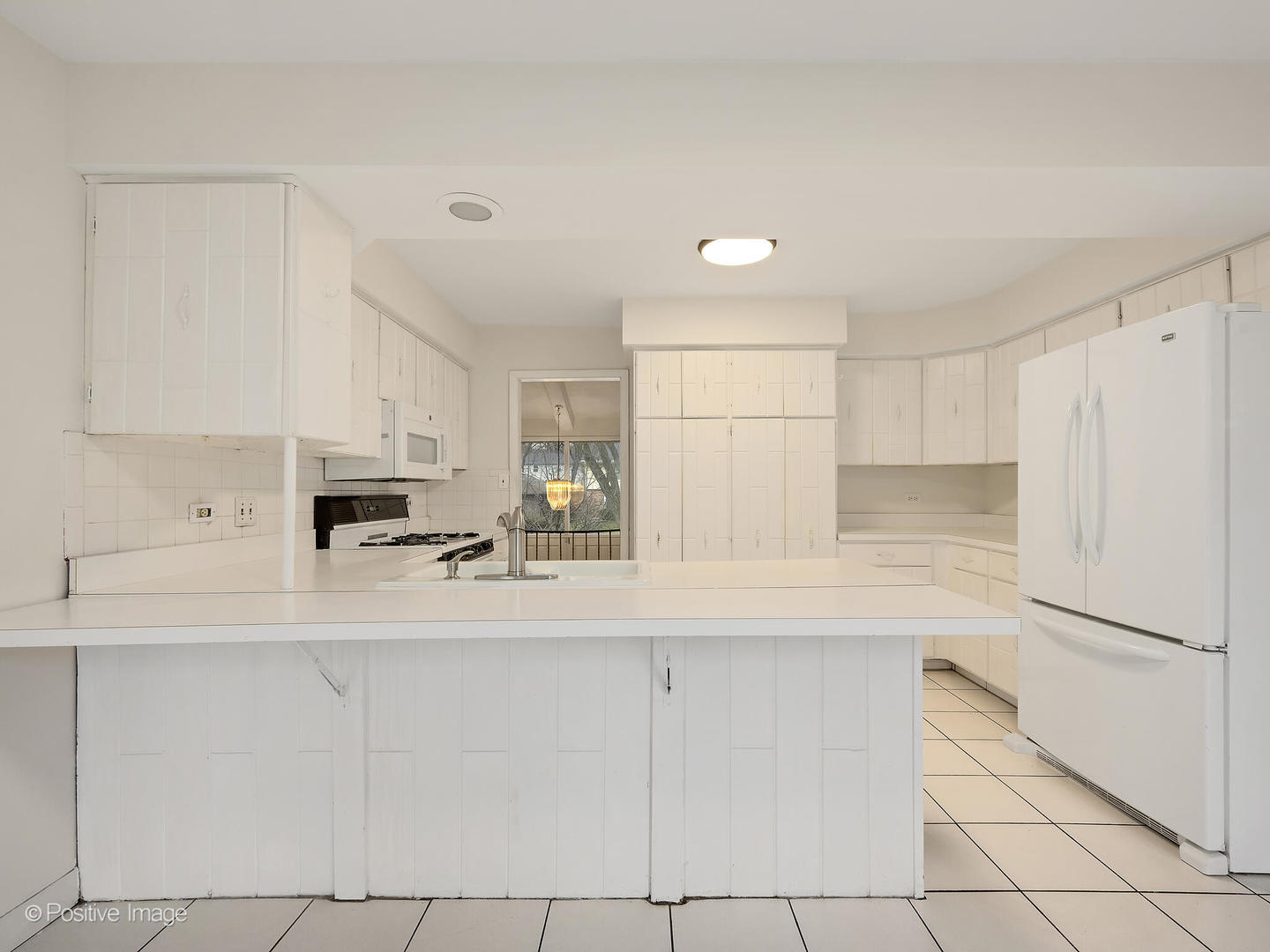 1117 Barberry Court Downers Grove IL 60515