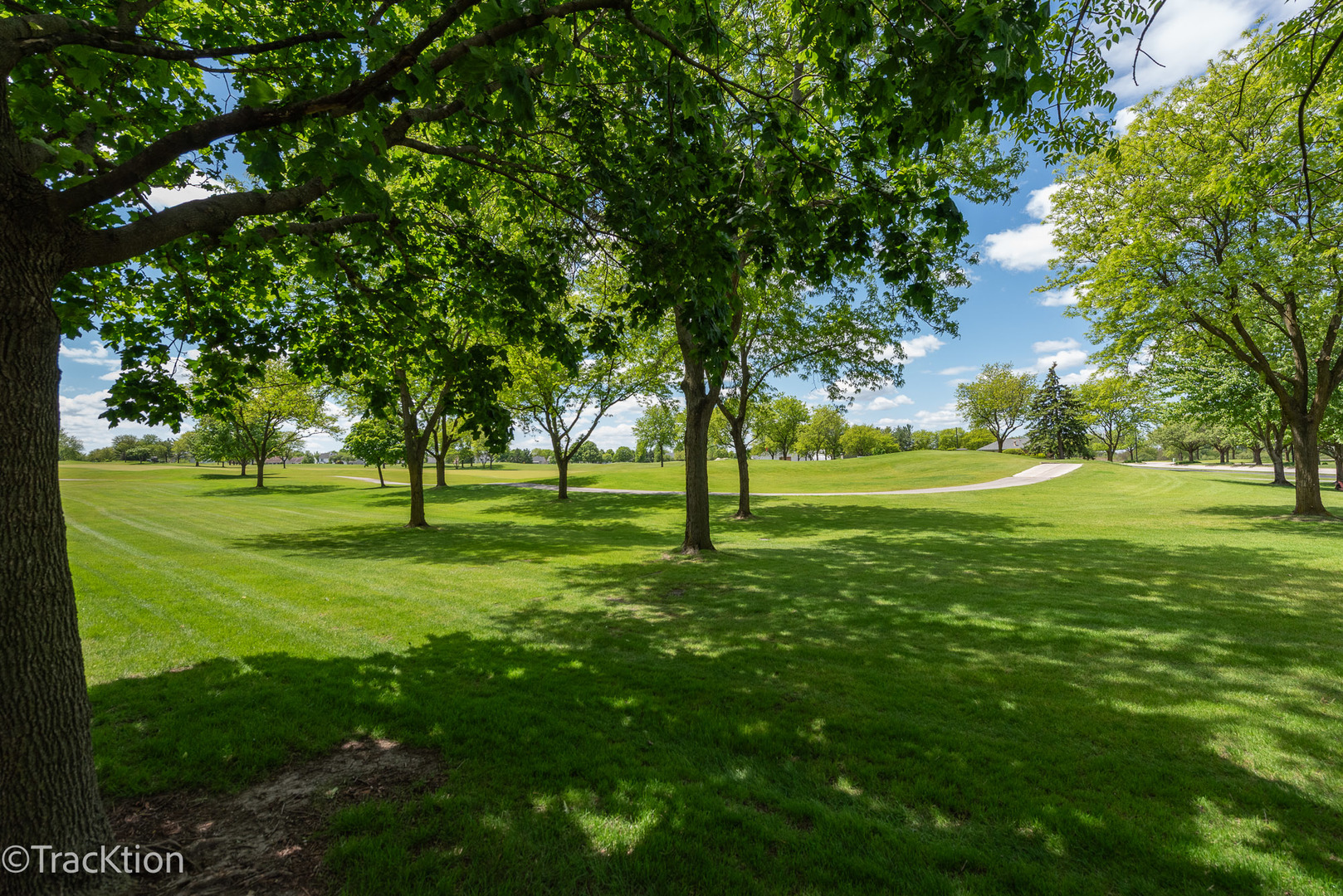 21365 Silktree Circle Plainfield IL 60544
