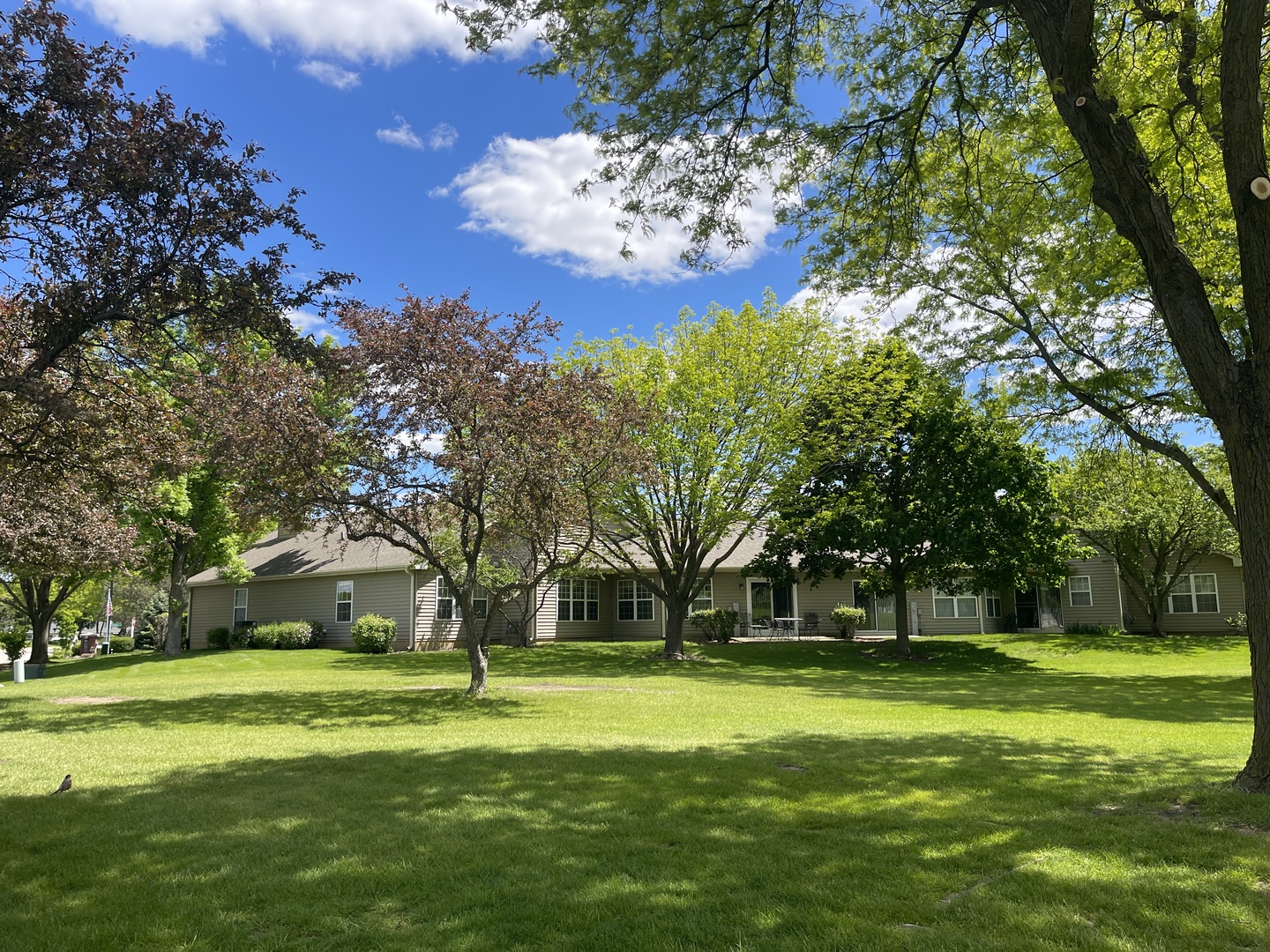 21365 Silktree Circle Plainfield IL 60544