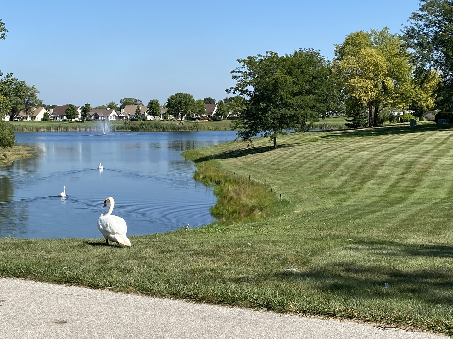 21365 Silktree Circle Plainfield IL 60544