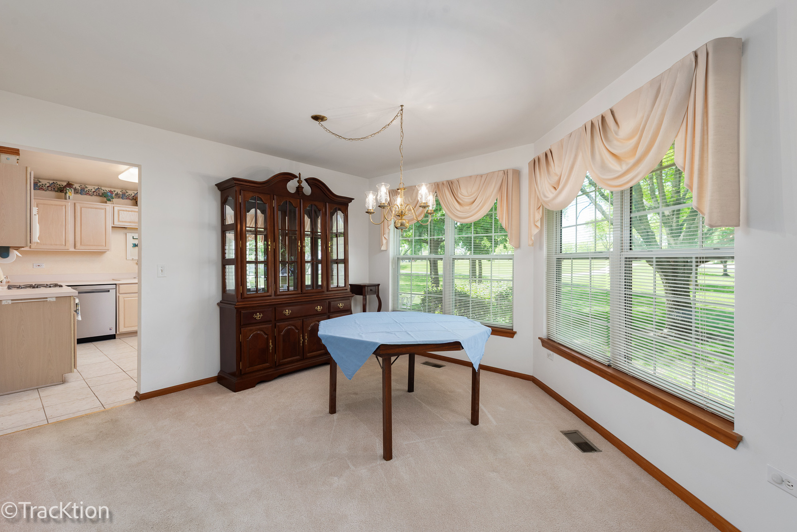 21365 Silktree Circle Plainfield IL 60544