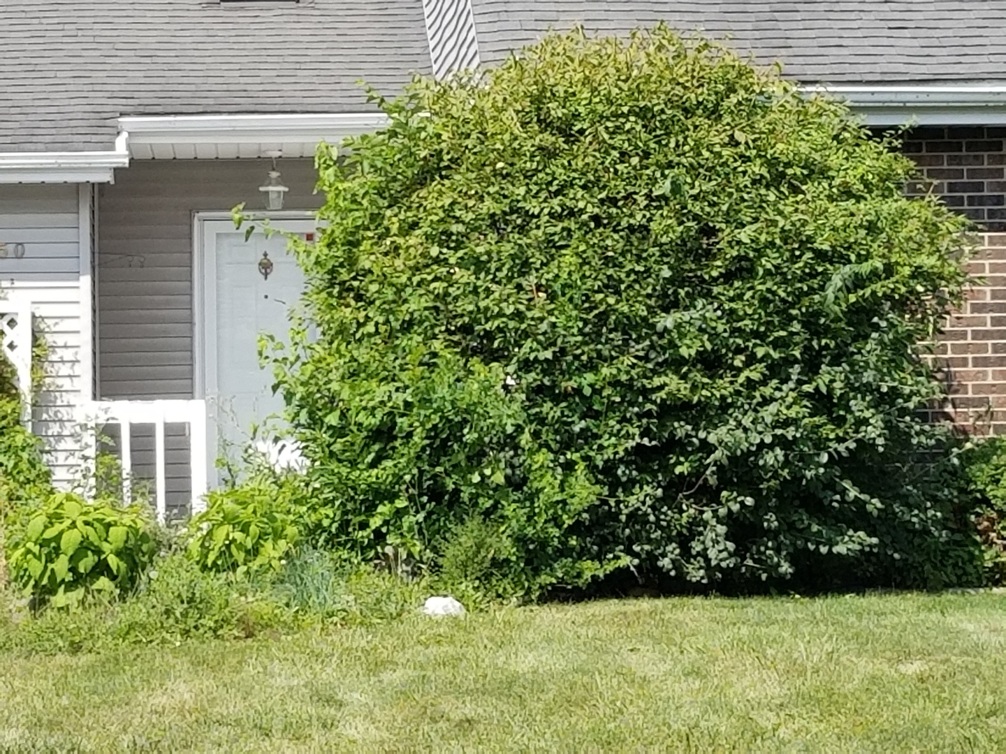 450 Tanglewood Drive Gurnee IL 60031