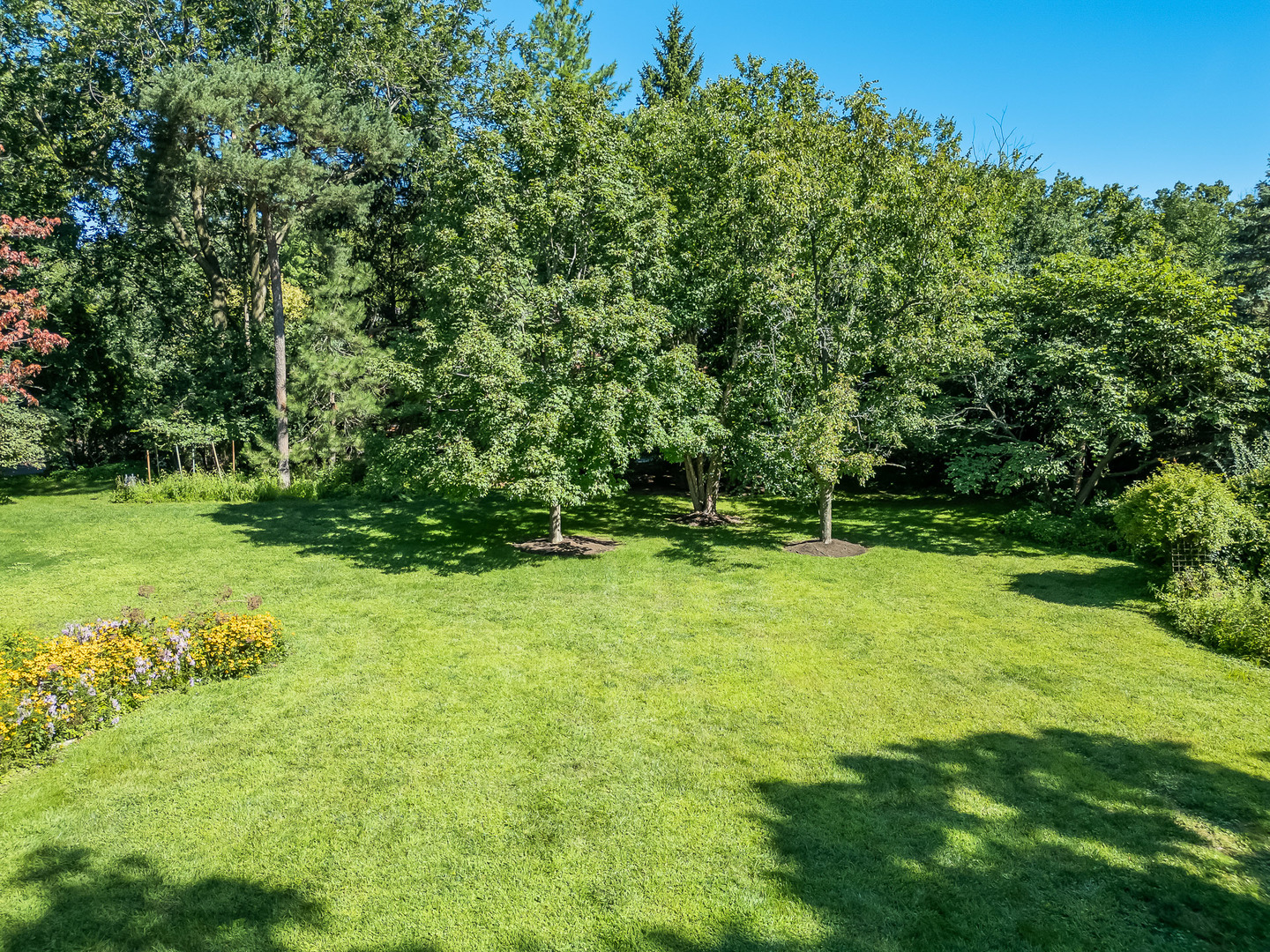 401 Glendale Avenue Oak Brook IL 60523