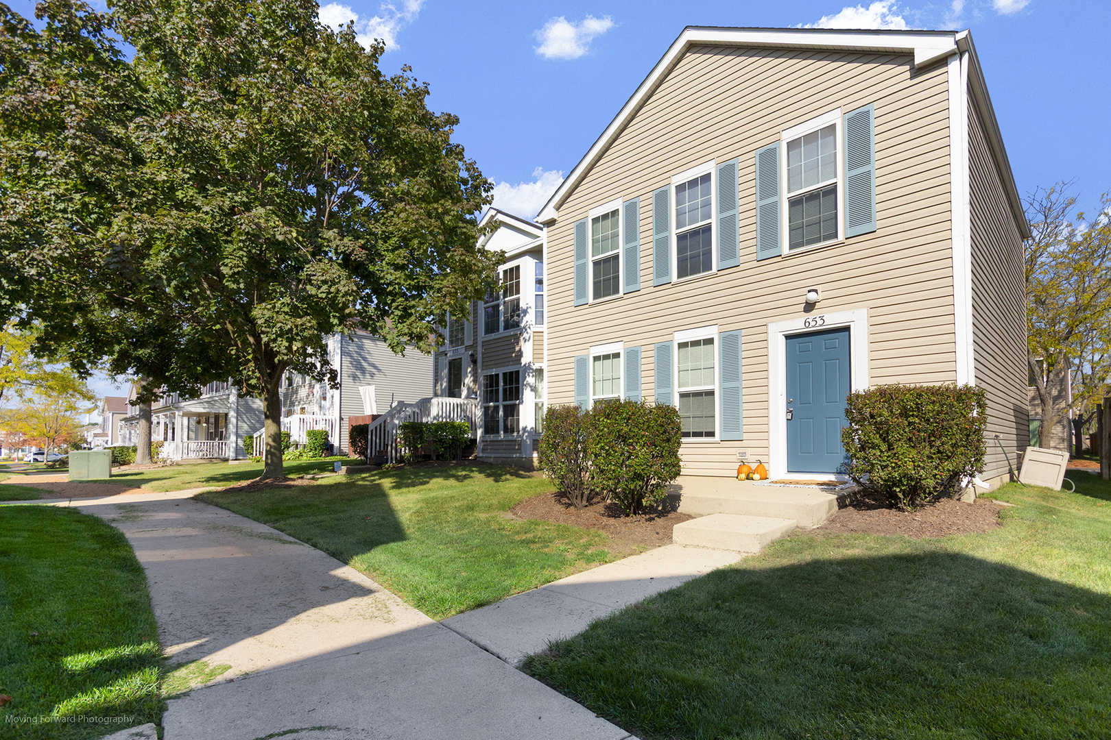 653 Serendipity Drive Aurora IL 60504