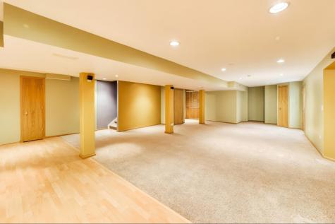 248 South Litchfield Drive Round Lake IL 60073