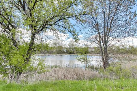 248 South Litchfield Drive Round Lake IL 60073