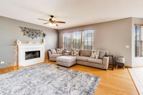 248 South Litchfield Drive Round Lake IL 60073