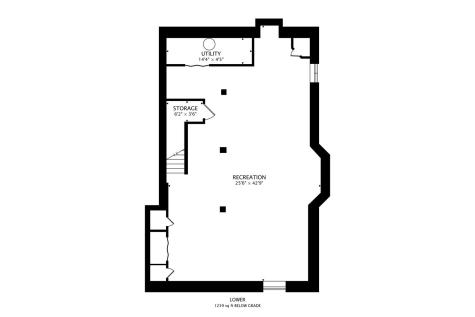 248 South Litchfield Drive Round Lake IL 60073