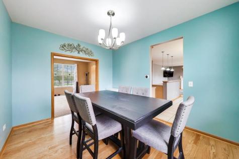 248 South Litchfield Drive Round Lake IL 60073