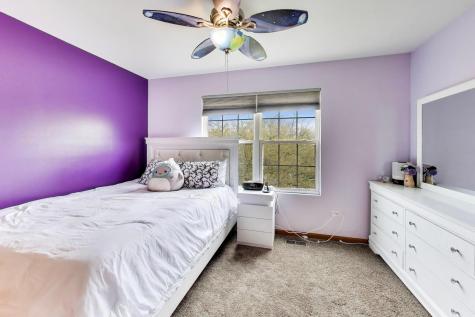 248 South Litchfield Drive Round Lake IL 60073