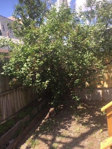 1816 South Jefferson Street Chicago IL 60616