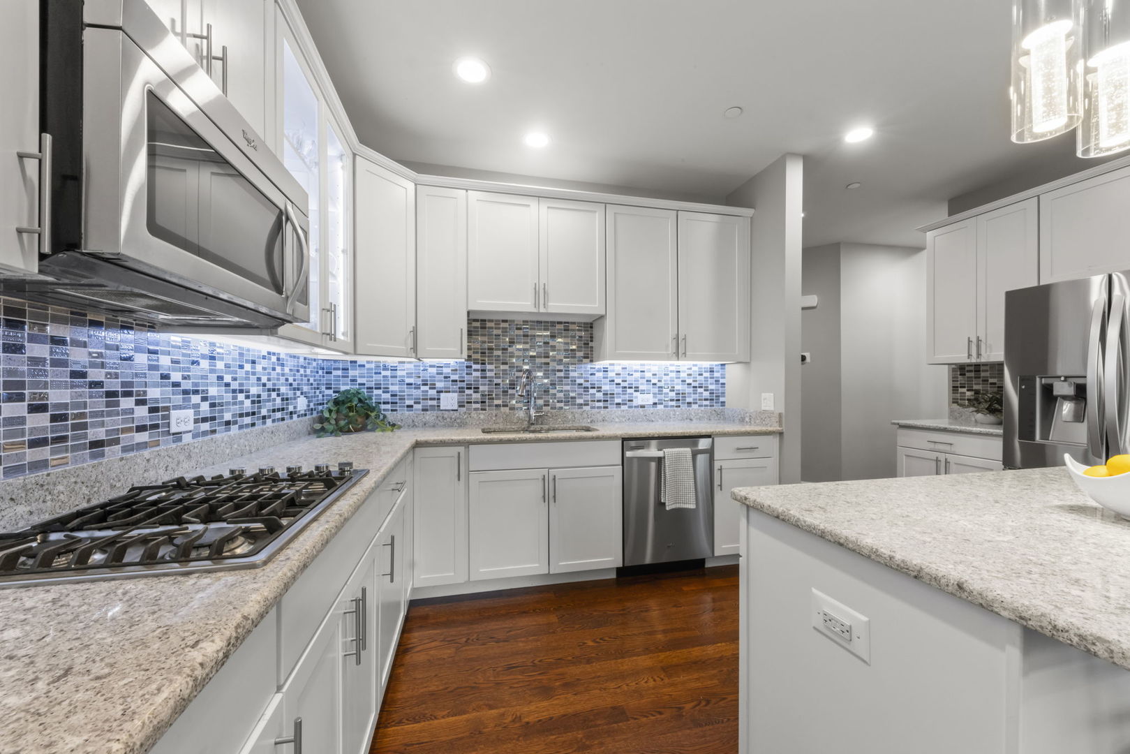 1045 Hickory Drive Western Springs IL 60558