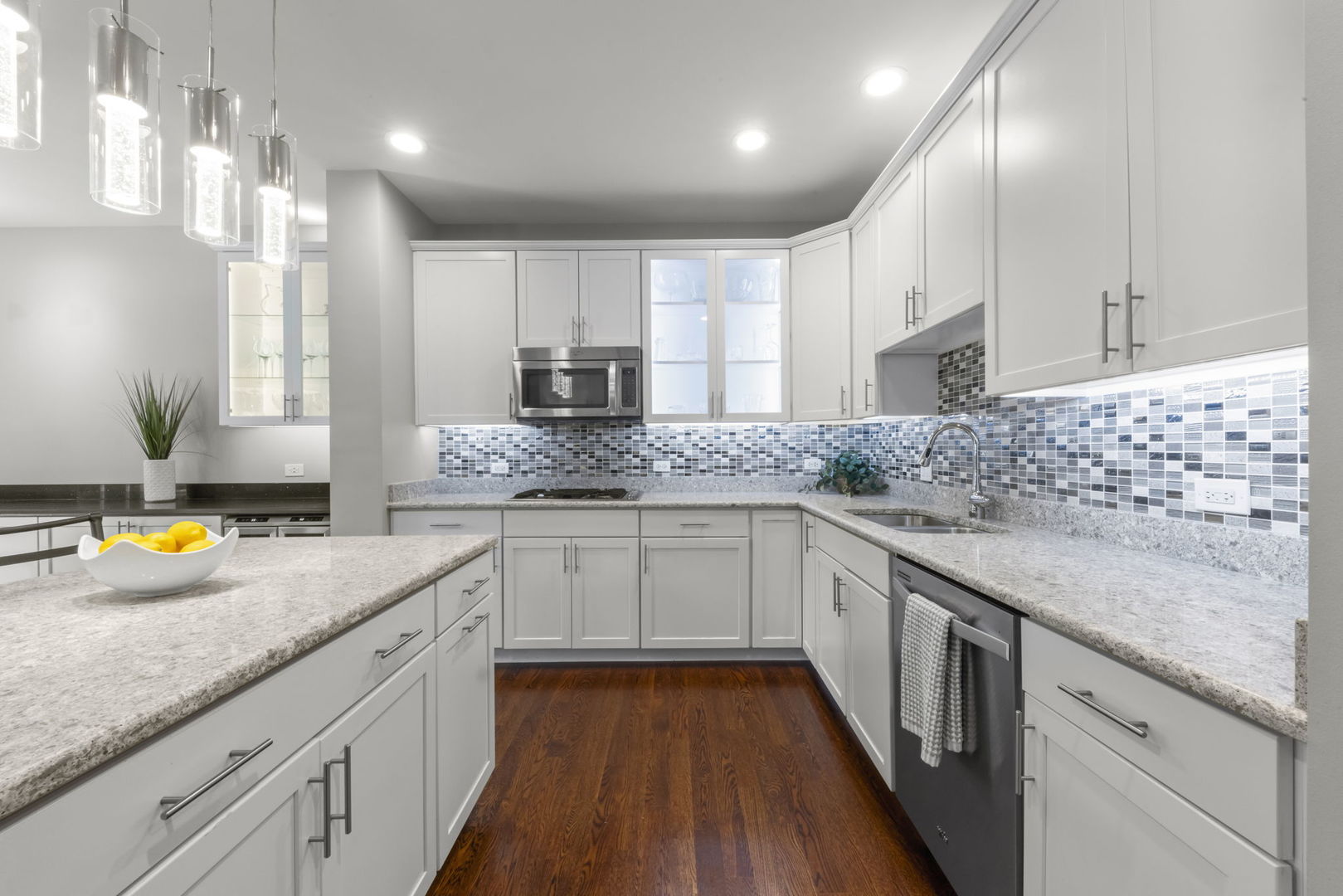 1045 Hickory Drive Western Springs IL 60558