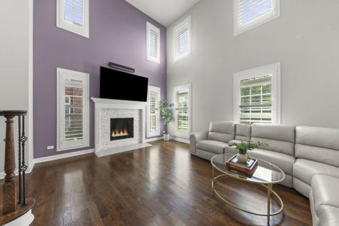 1045 Hickory Drive Western Springs IL 60558