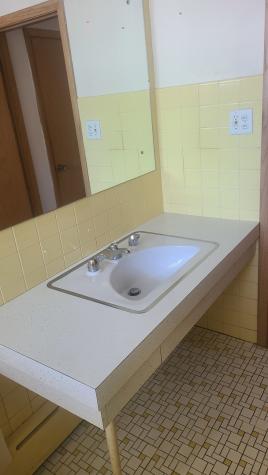 16347 Ingleside Avenue South Holland IL 60473