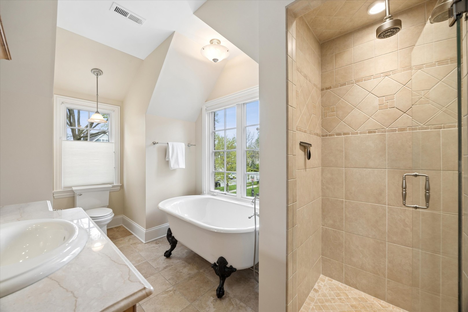 729 South Lincoln Street Hinsdale IL 60521