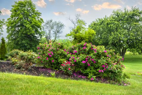 404 Caesar Drive Barrington Hills IL 60010