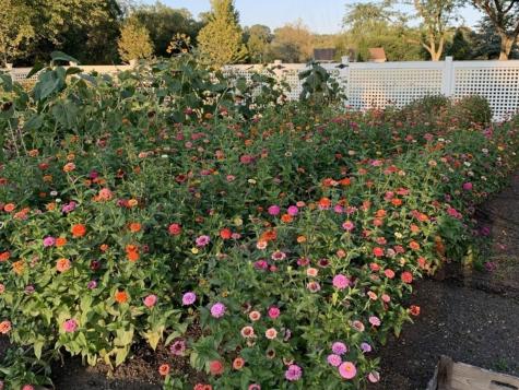 404 Caesar Drive Barrington Hills IL 60010