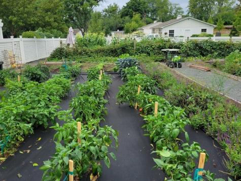 404 Caesar Drive Barrington Hills IL 60010