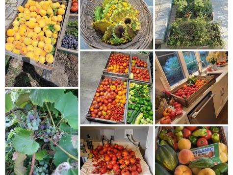 404 Caesar Drive Barrington Hills IL 60010