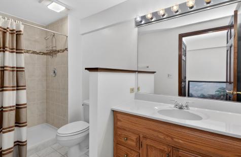 337 West Scarborough Court Bloomingdale IL 60108