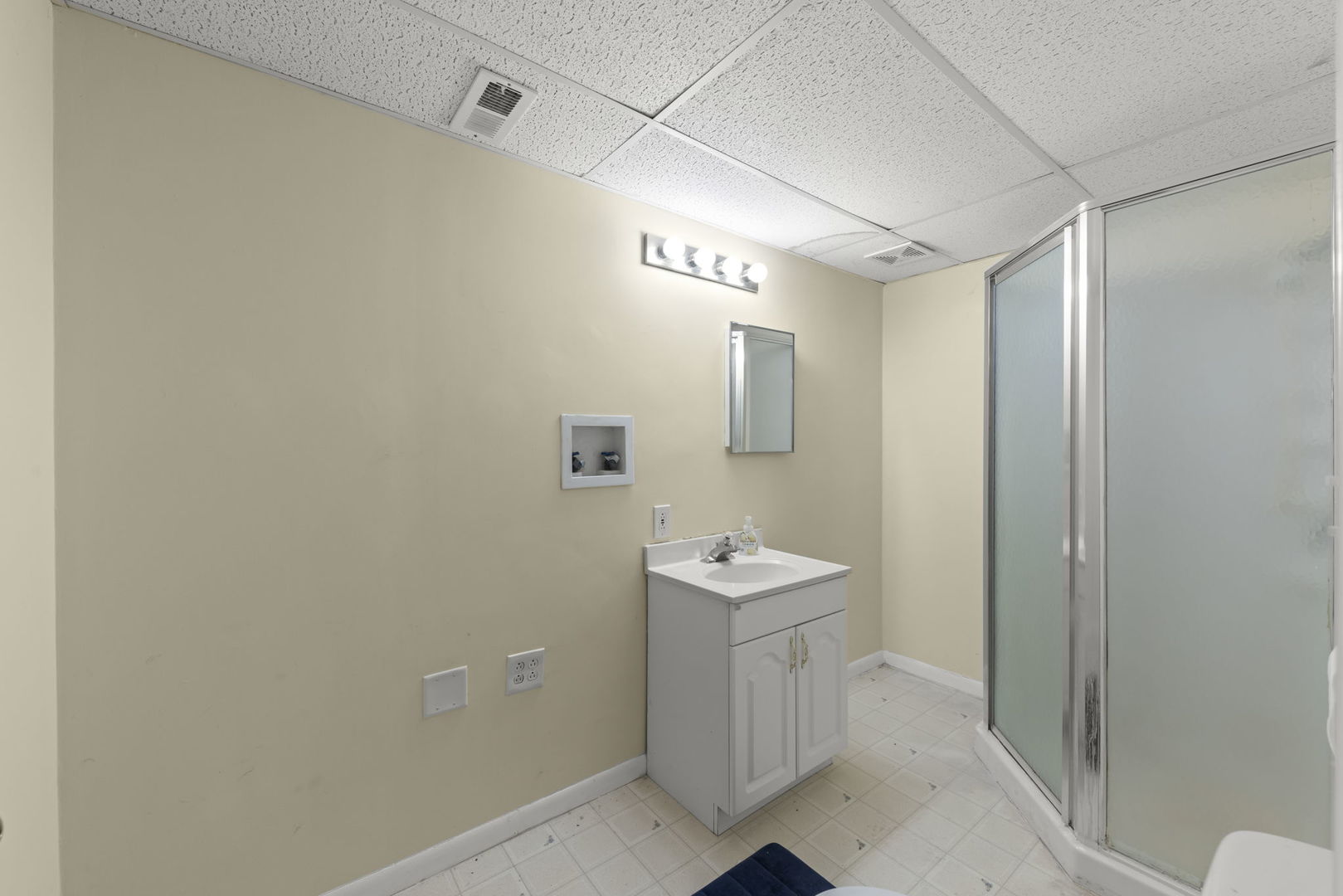 11 Roanoke Court Bolingbrook IL 60440