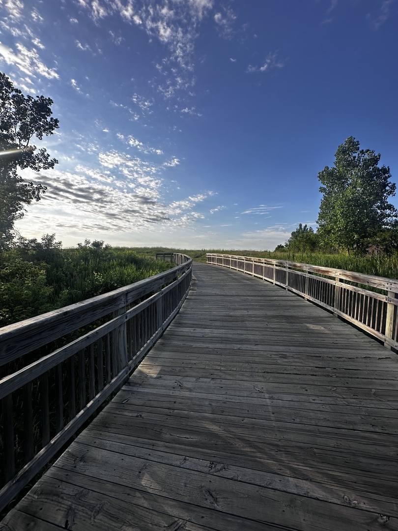 11 Roanoke Court Bolingbrook IL 60440