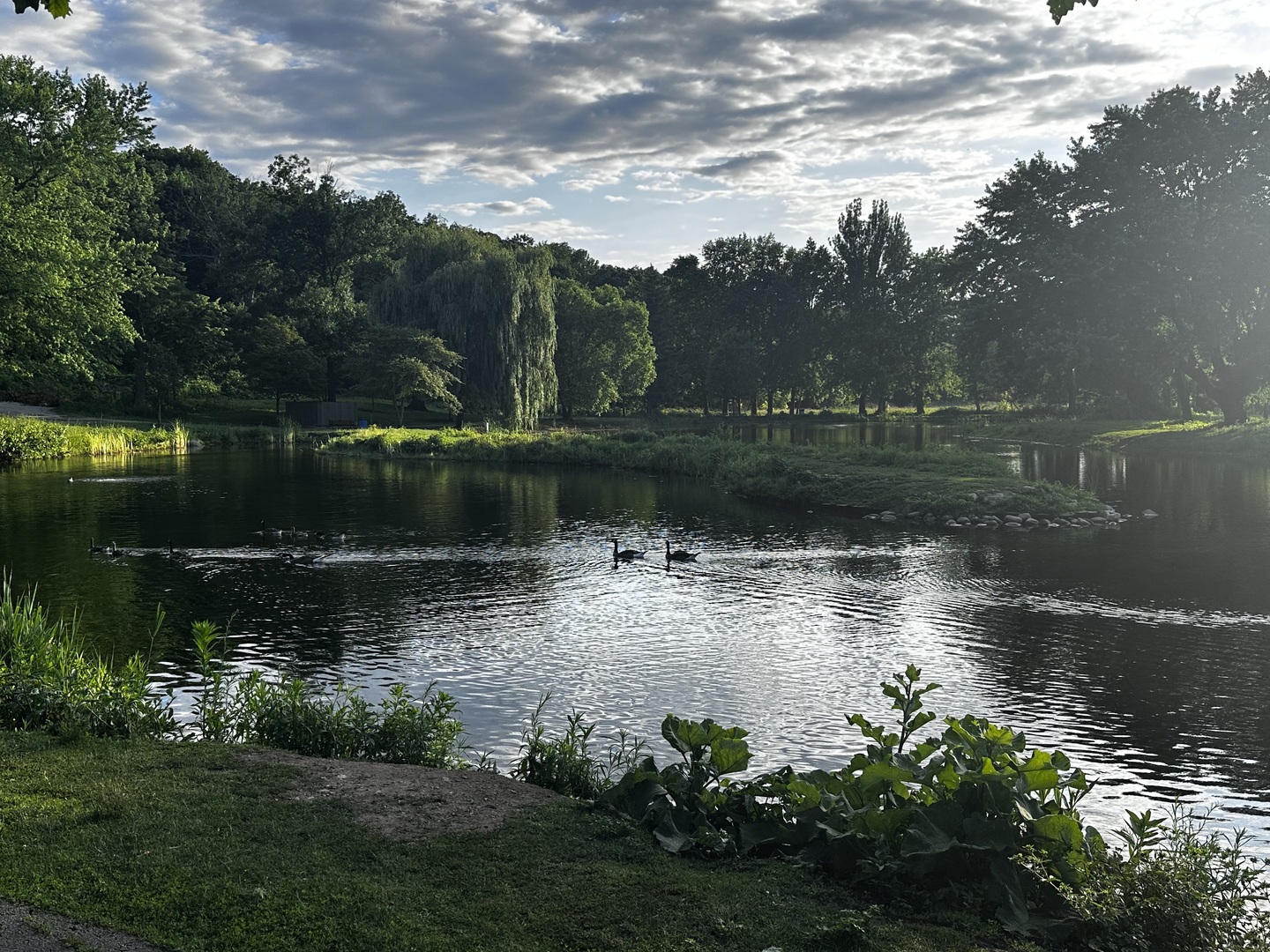 11 Roanoke Court Bolingbrook IL 60440