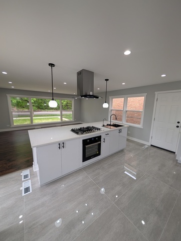 336 East 91st Street Chicago IL 60619