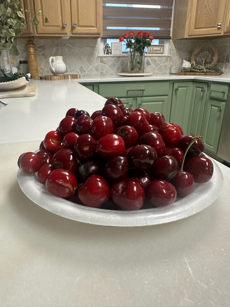 2025 North Sawyer Avenue Chicago IL 60647