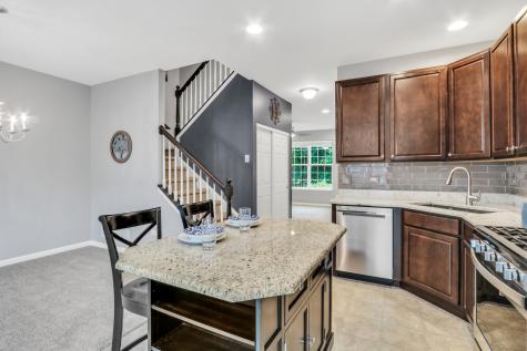 297 Lionel Drive Grayslake IL 60030