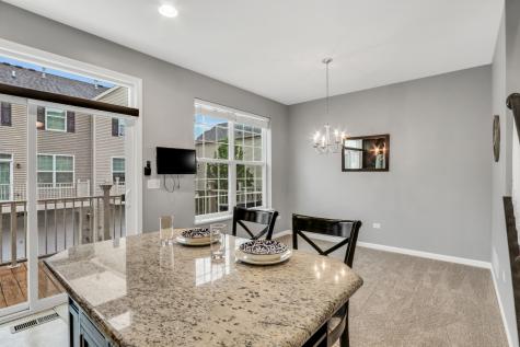 297 Lionel Drive Grayslake IL 60030