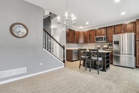 297 Lionel Drive Grayslake IL 60030