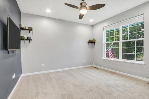 297 Lionel Drive Grayslake IL 60030