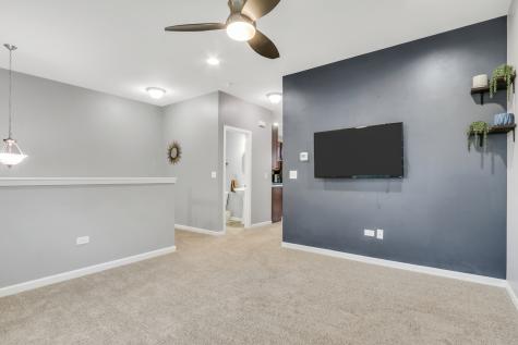 297 Lionel Drive Grayslake IL 60030